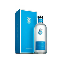 Thumbnail for Tequila Casa Dragones Blanco 750 Ml
