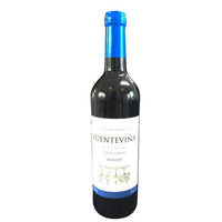 Thumbnail for Vino Tinto Fuente Viña Merlot 750 Ml