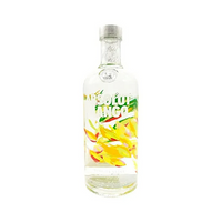 Thumbnail for Vodka Absolut Mango 750 Ml